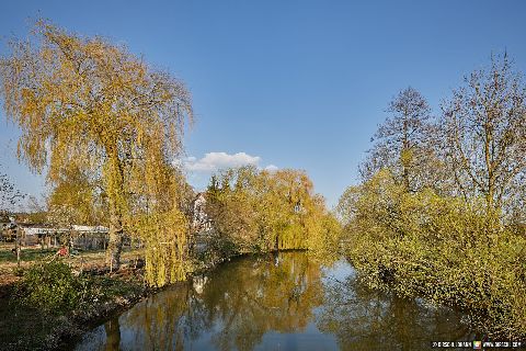 Gemeinde Massing Landkreis Rottal-Inn Oberdietfurt Rott (Dirschl Johann) Deutschland PAN